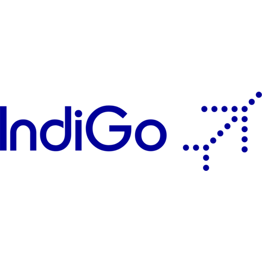indigo airlines bolsagage