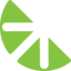 Lumi Rental Company logo