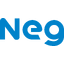 Nippon Electric Glass