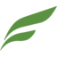 Fine Organics logo