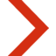Newag logo