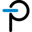 Power Integrations
 logo