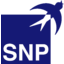 SNP Schneider-Neureither & Partner logo