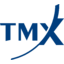 TMX Group
 logo