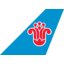 China Southern Airlines
 logo