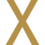 Xetra-Gold logo