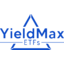 Yieldmax MSTR Option Income Strategy ETF logo