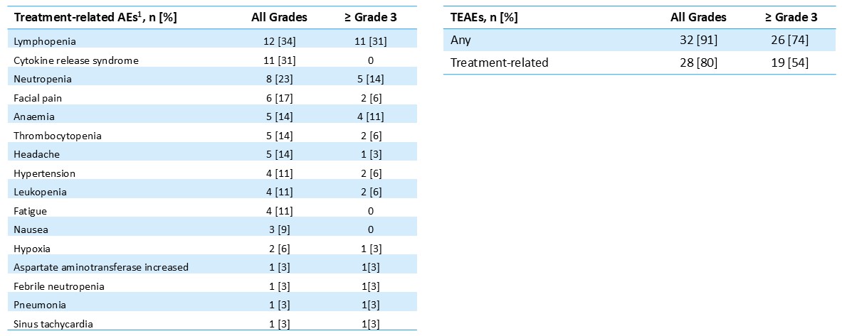 img31627972_13.jpg