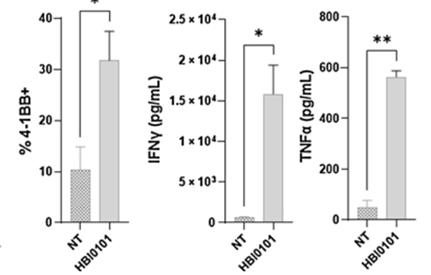 Chart
Description automatically generated