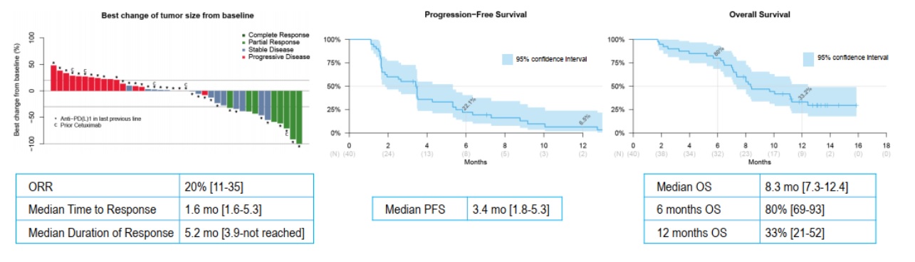 Mona Tumorsize PFS OS.jpg