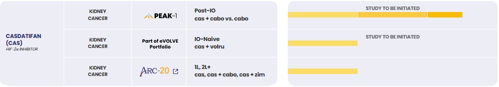 01 Cas.jpg