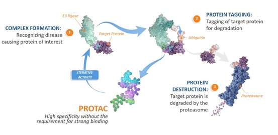 PROTAC.jpg