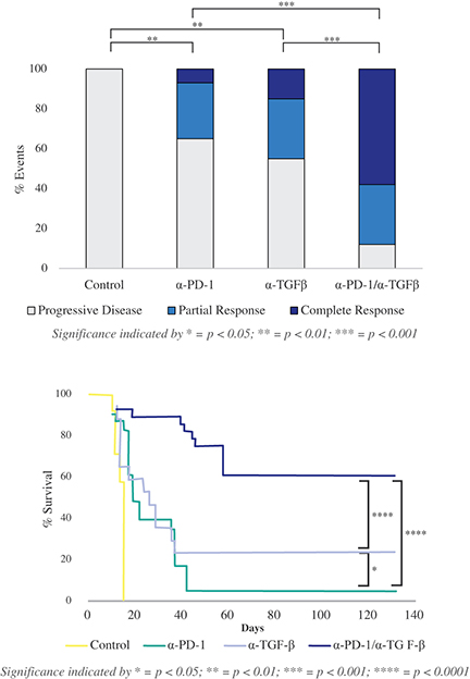 Figure 3.jpg
