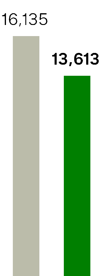 13