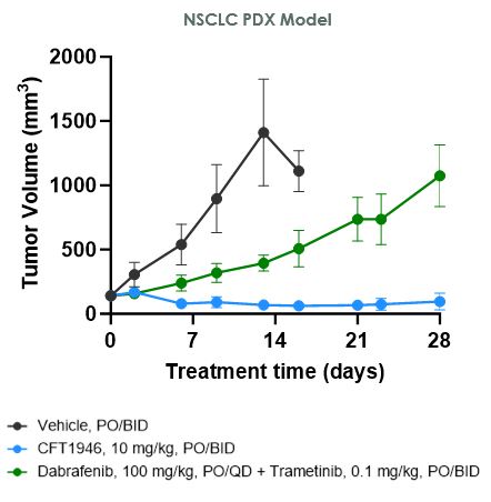 NSCLC PDX.jpg