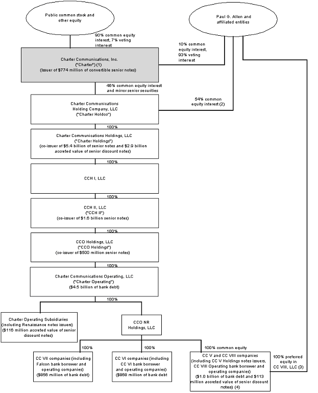 (SUMMARY ORGANIZATIONAL CHART)