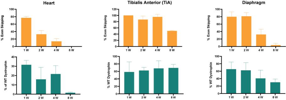 trda-20211231x10k019.jpg