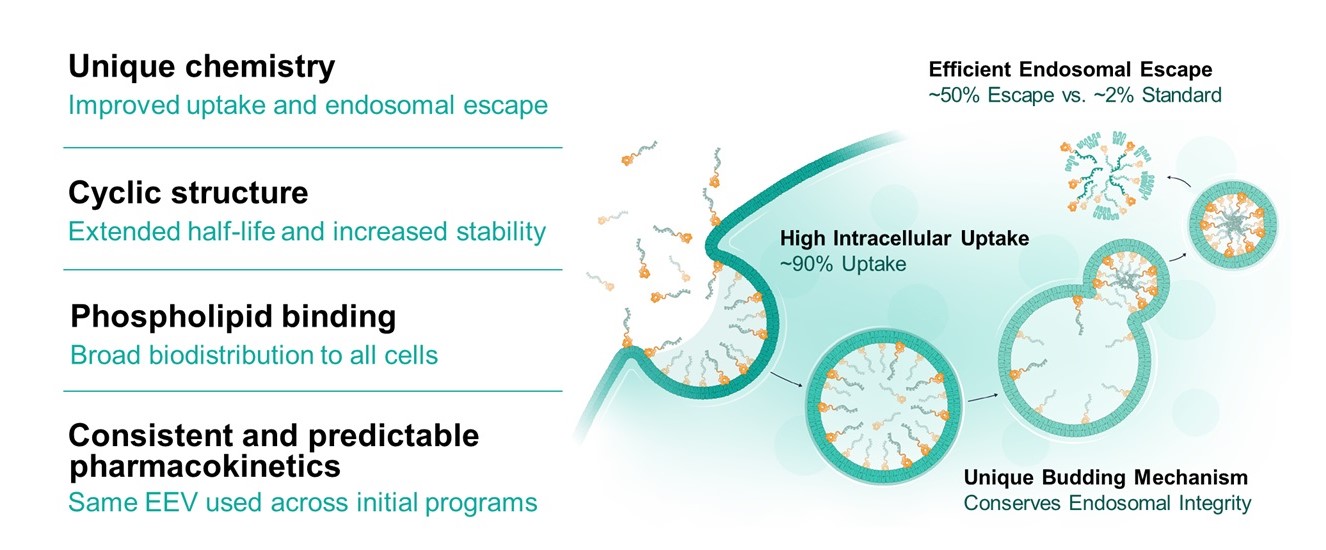 EEV Mechanism.jpg