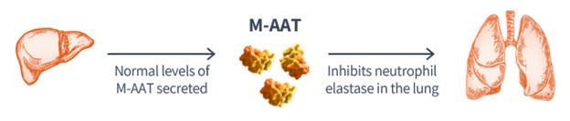 img83127175_14.jpg