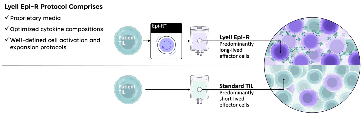 Figure 2.jpg