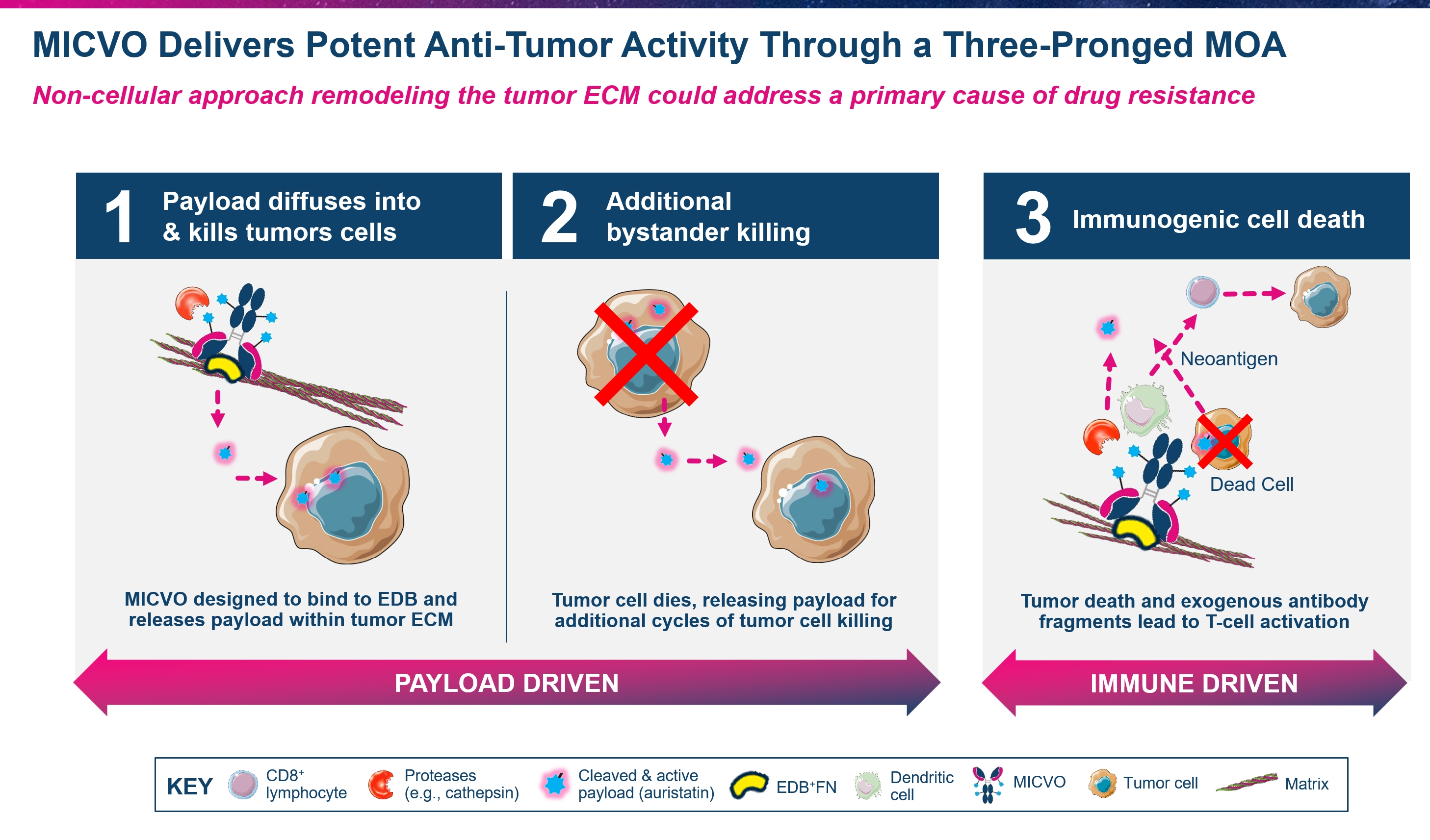 img264156956_2.jpg