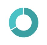 Exec leadership pie chart.jpg