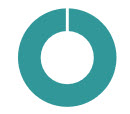Strategy pie chart.jpg