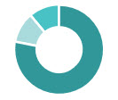 Board Experience pie chart.jpg