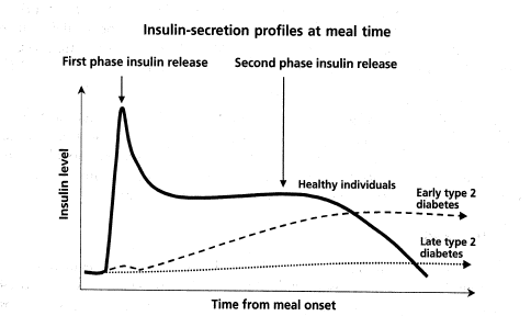 (INSULIN-SECRETION PROFILES GRAPH)