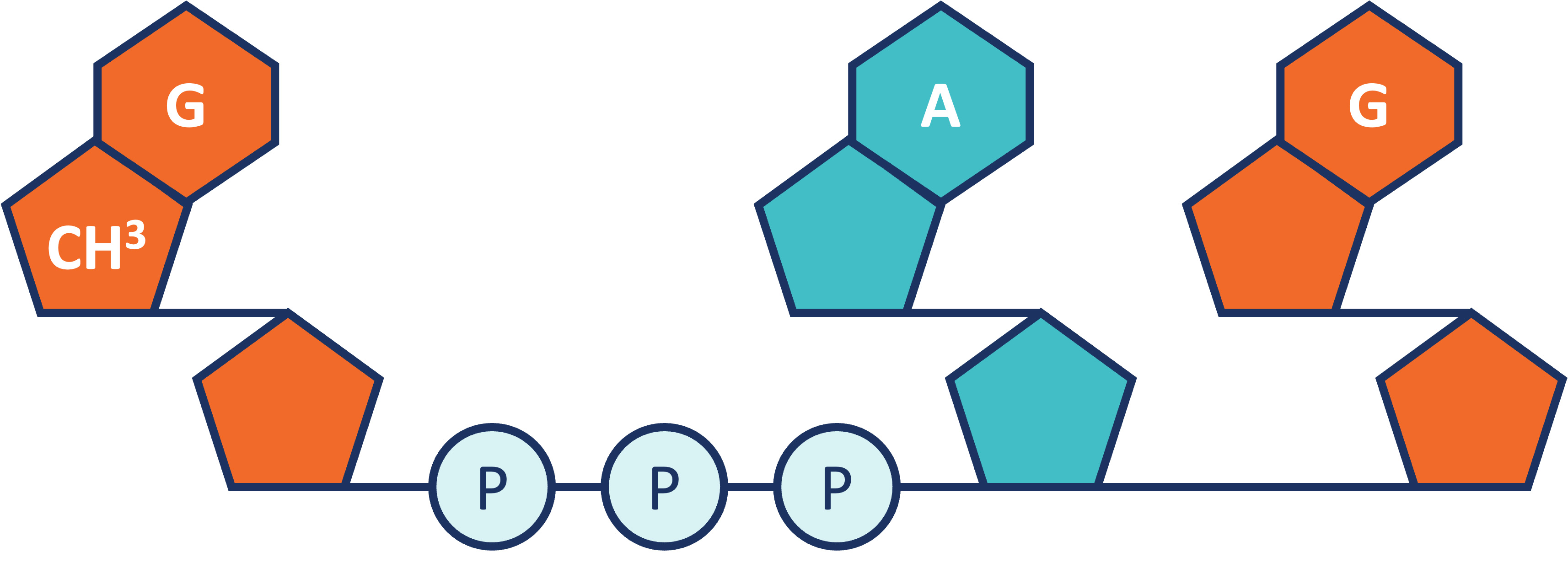 Slide6.jpg