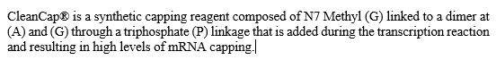 Paragraph.jpg