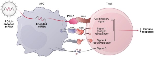 mrna-20201231_g30.jpg