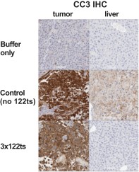 mrna-20201231_g9.jpg