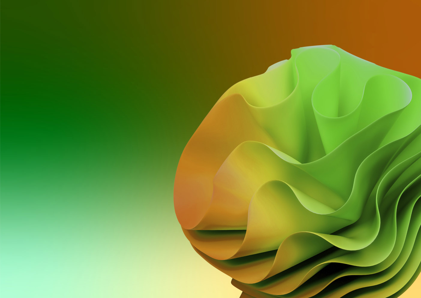 Other_Information_Divider.jpg