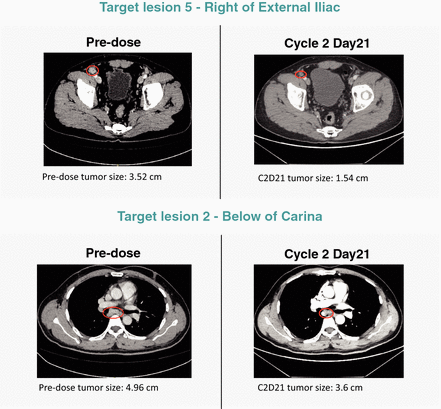 GRAPHIC