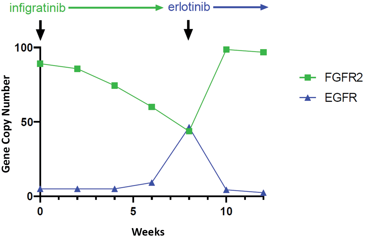 img248400775_10.jpg
