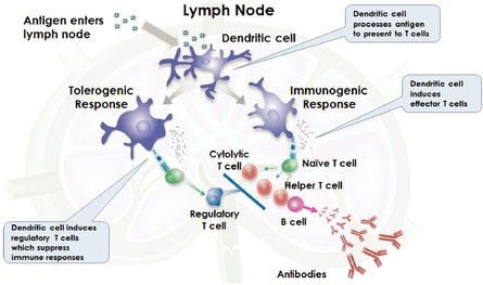 figure1a03.jpg