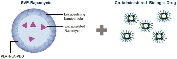 figure3a01.jpg