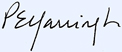 -s- Patricia E. Yarrington