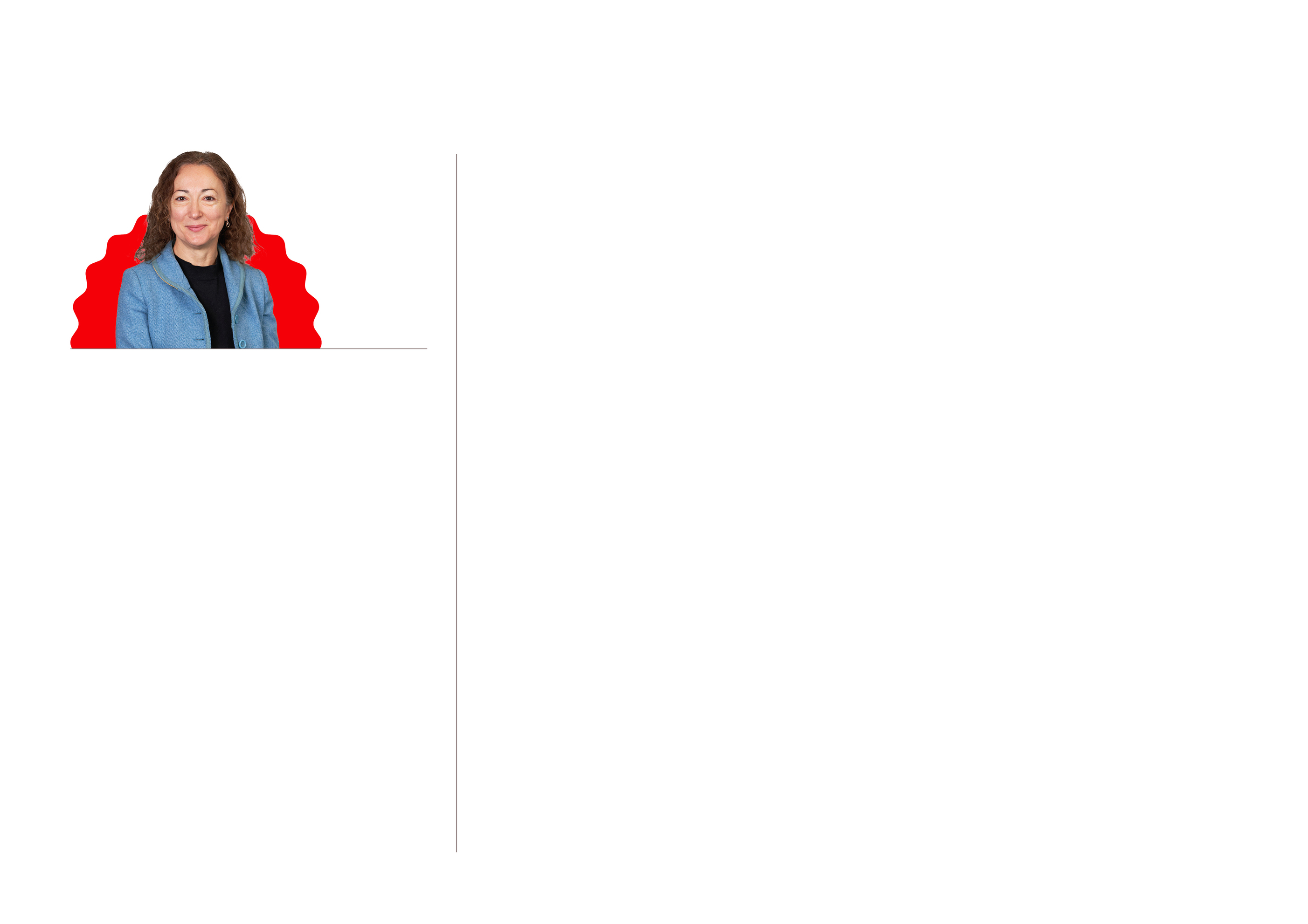 CCEP_Audit_Com_At_a_Glance_Background_crop.jpg