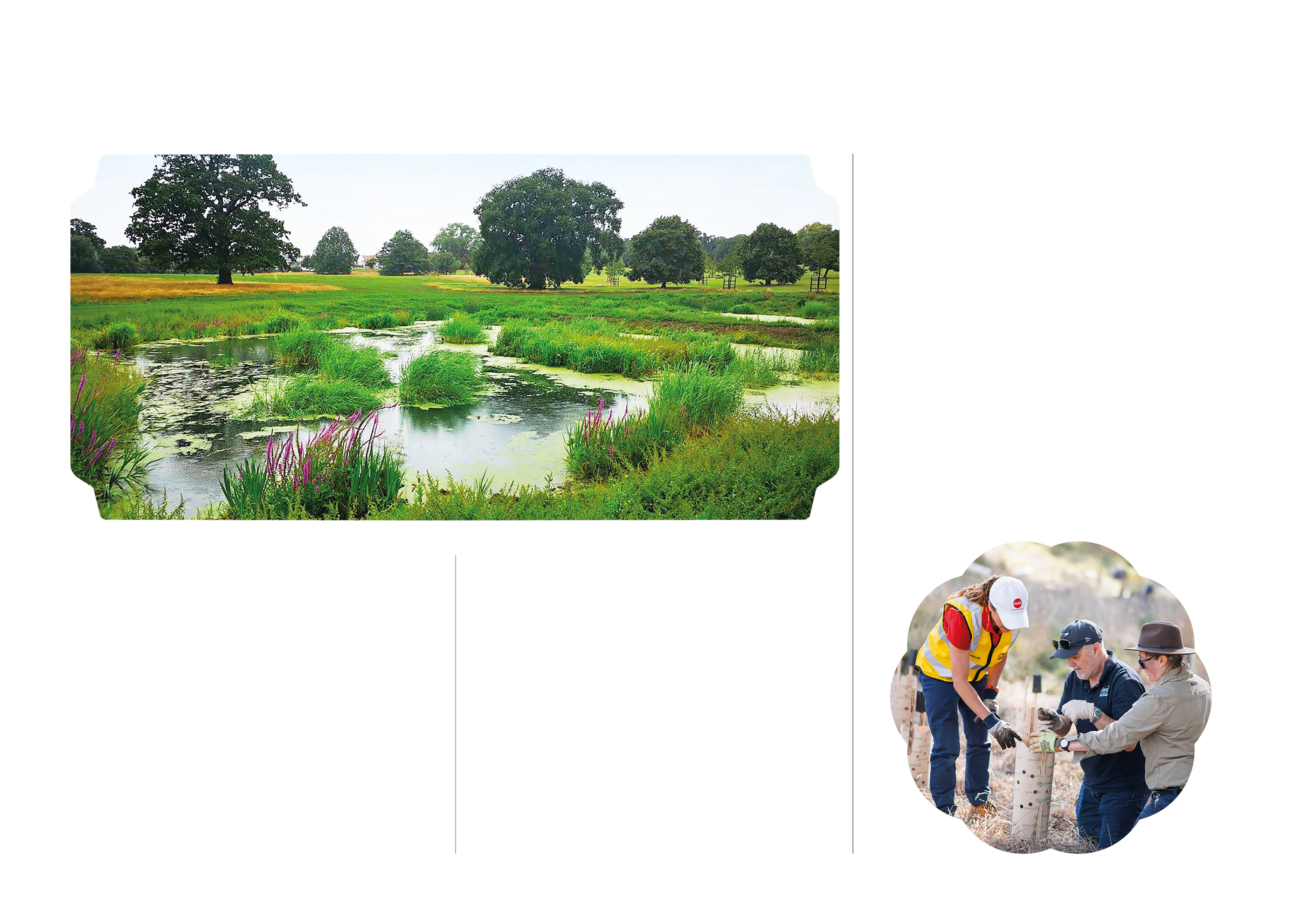 CCEP_Water_and_nature_Stakeholder_Engagement.jpg