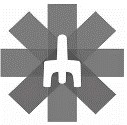 Gray Asterisk 2.jpg