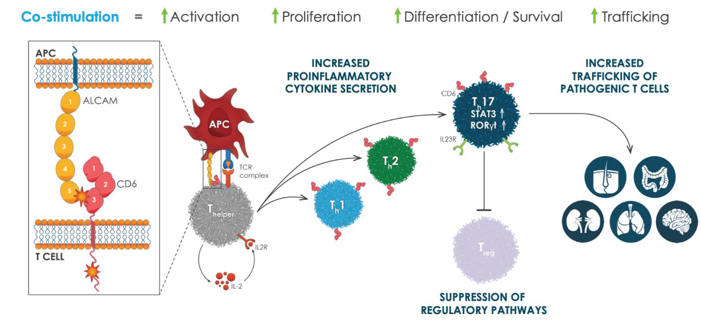img712127_6.jpg