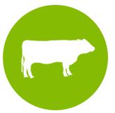 idxx-20180331x10qg004a05.jpg