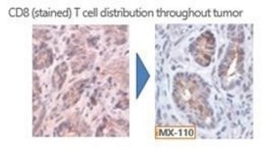 A comparison of cells with a blue arrow
Description automatically generated