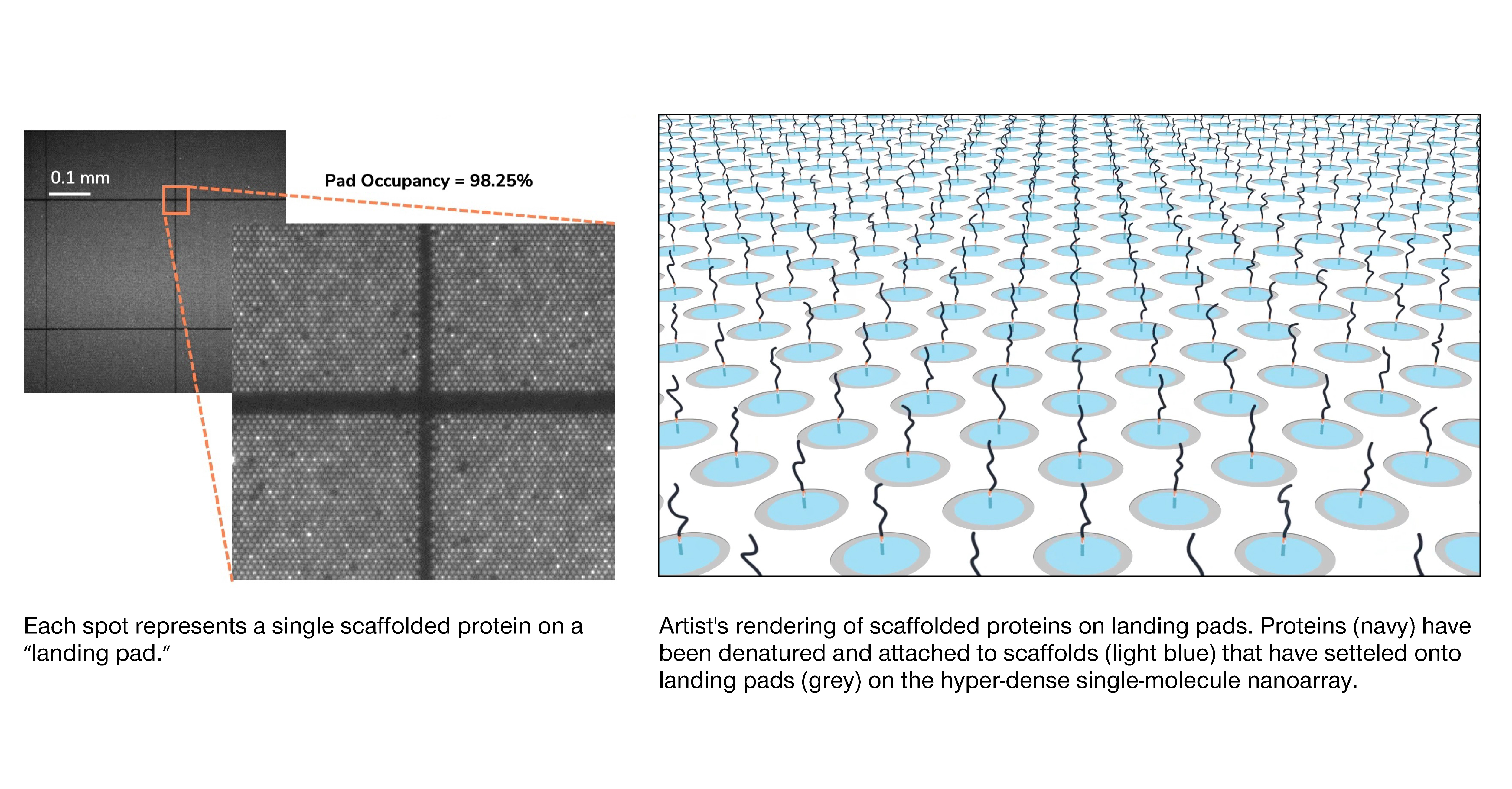 Nanoarrays.jpg