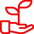 HandPlant.jpg