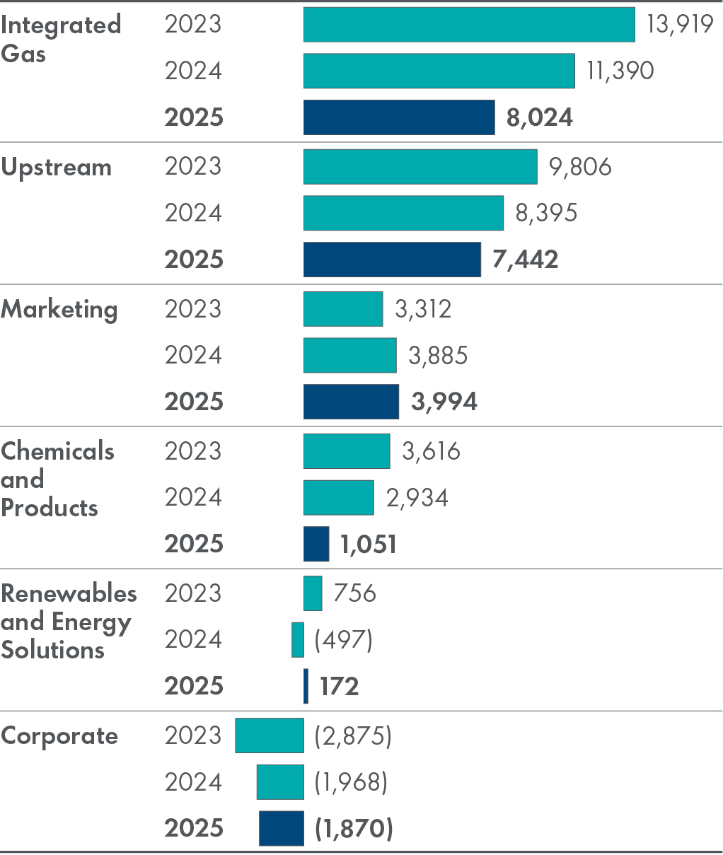 Segment_Adjusted_Earnings.jpg