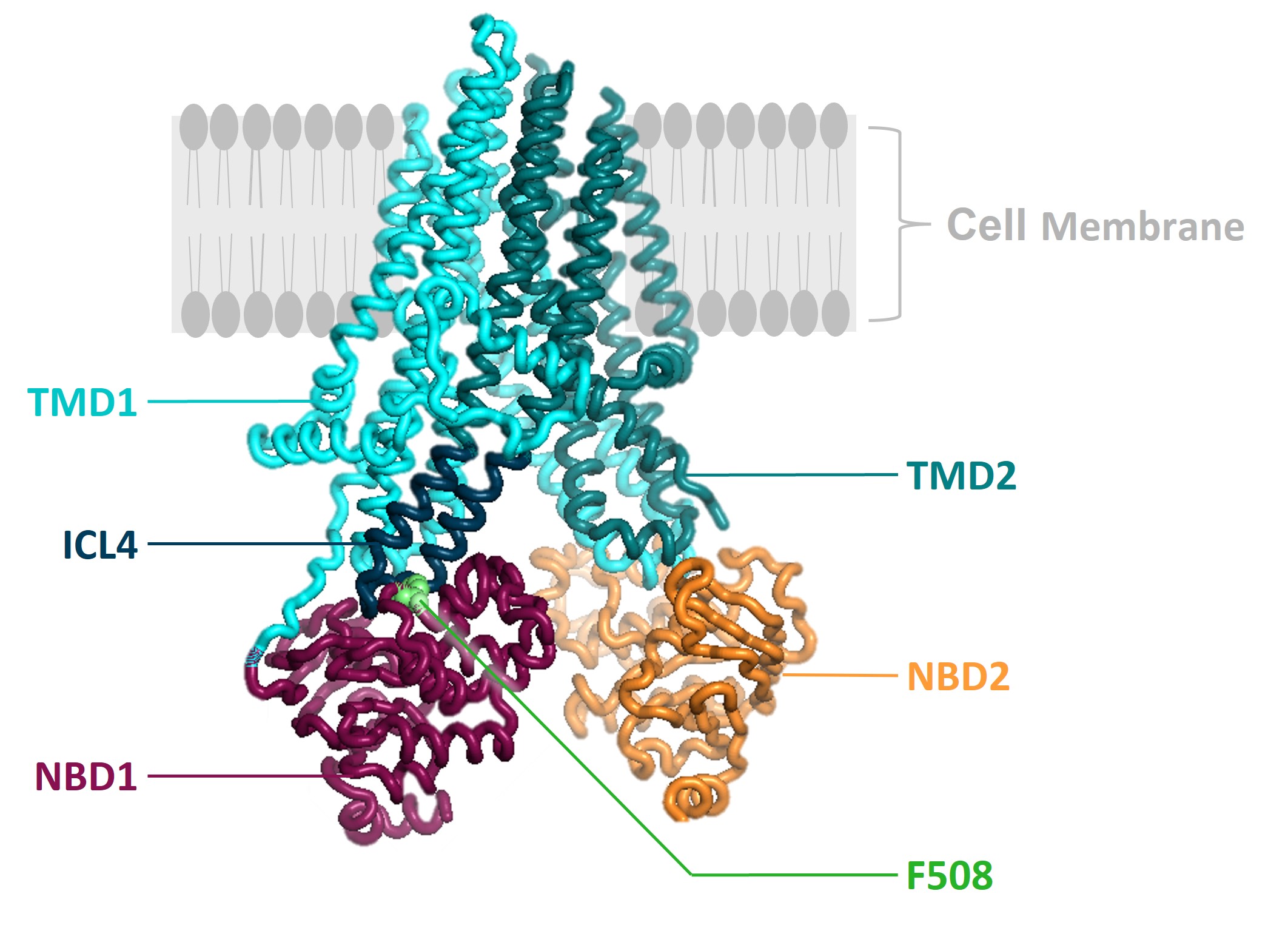 fig6a.jpg