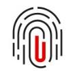 ubs-20241231p114i2